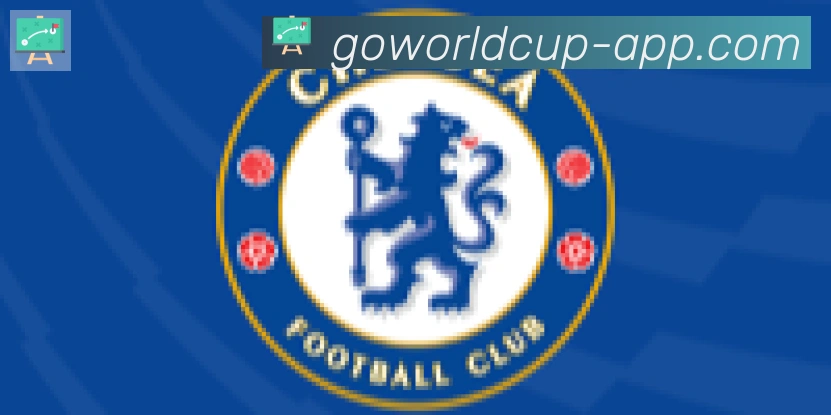 世界杯APP下载合作伙伴